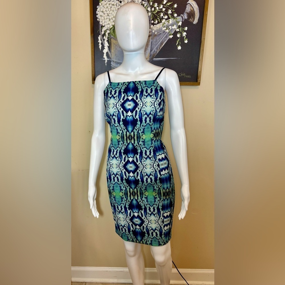 Akin by Ginger and Smart Blue and Green Snake Print Dress